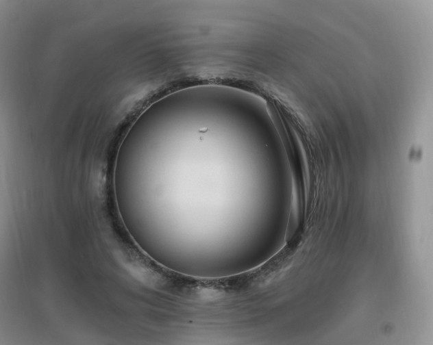 X0000096970592200802081254
