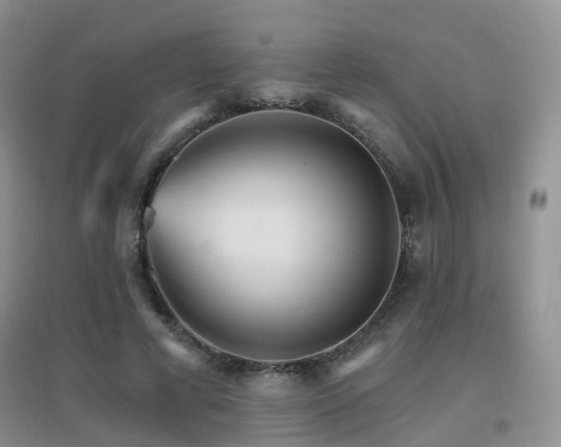 X0000096970593200802081254