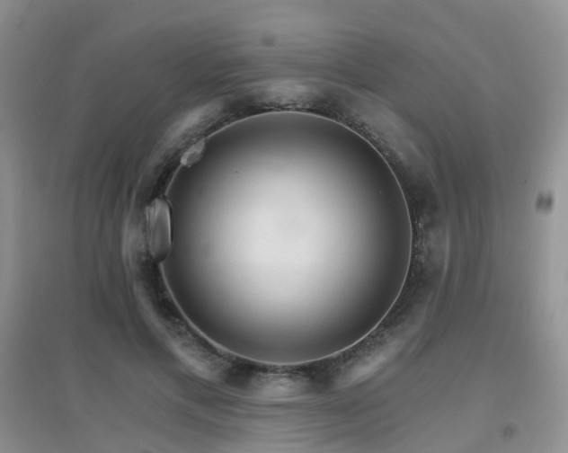 X0000096970597200802081254