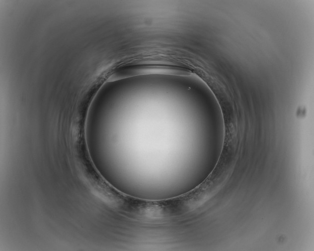 X0000096970600200802081254