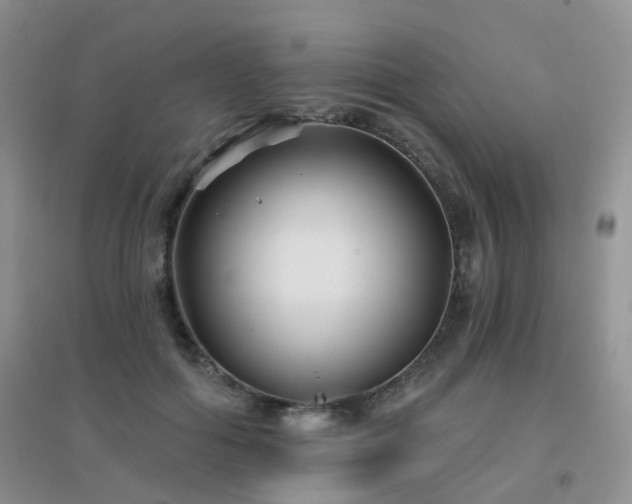 X0000096970602200802081254