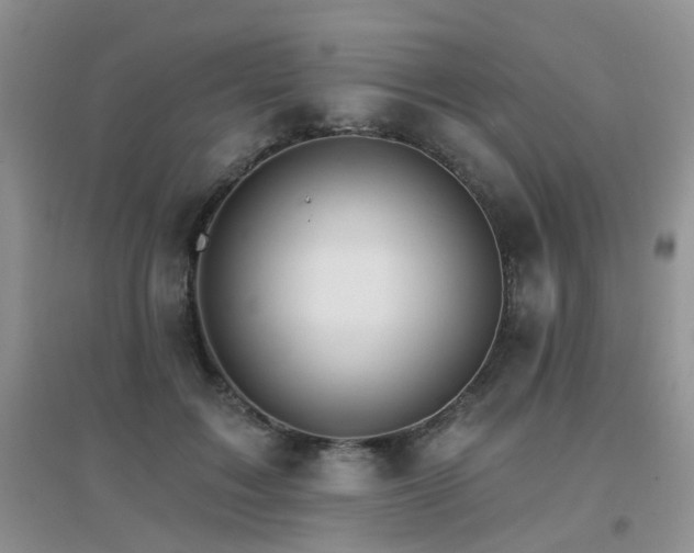 X0000096970603200802081254