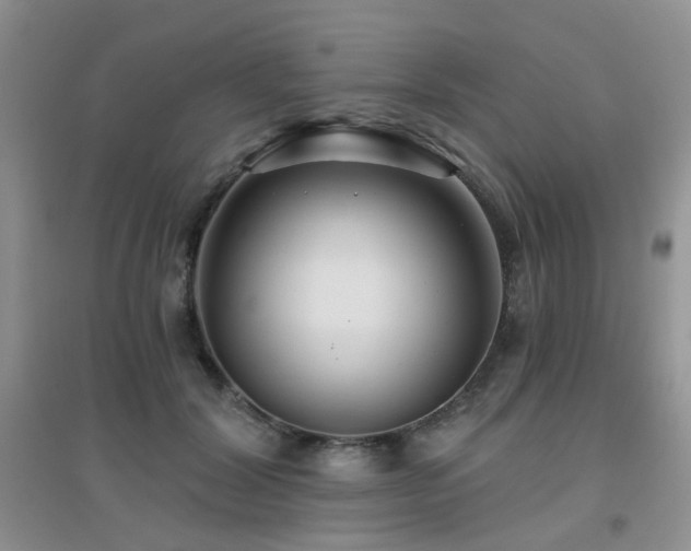 X0000096970604200802081254