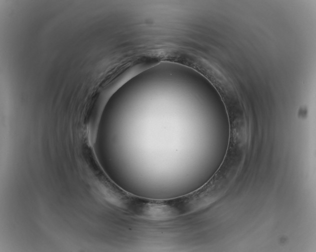 X0000096970605200802081254