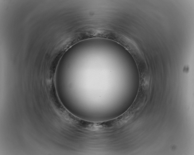X0000096970607200802081254