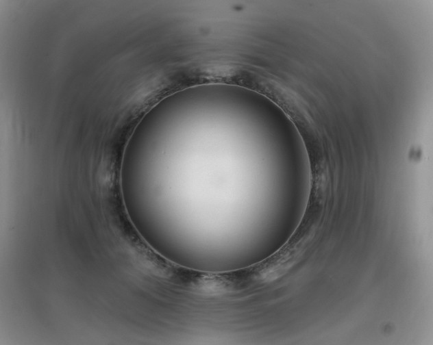 X0000096970608200802081254