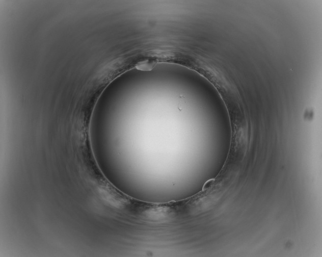 X0000096970609200802081254