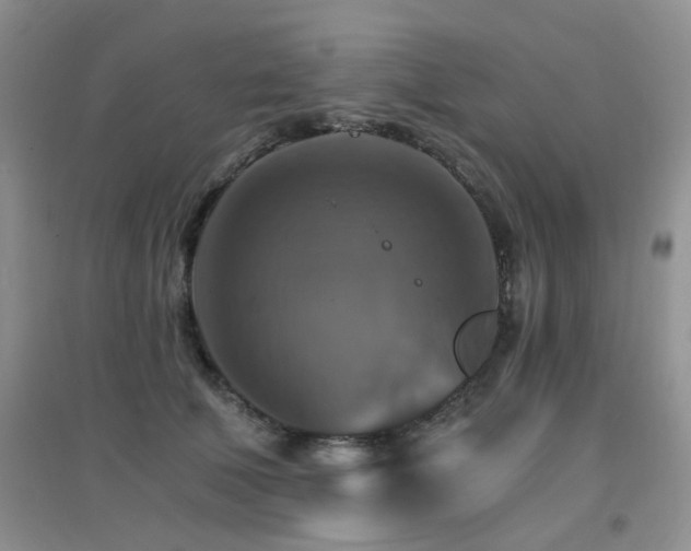 X0000096970610200802081254