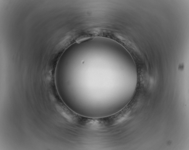 X0000096970611200802081254