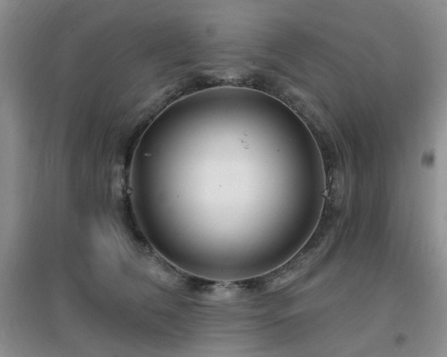 X0000096970612200802081254