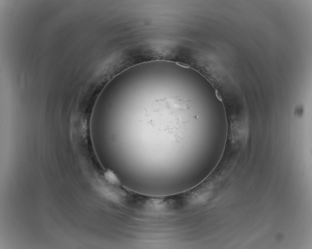 X0000096970613200802081254