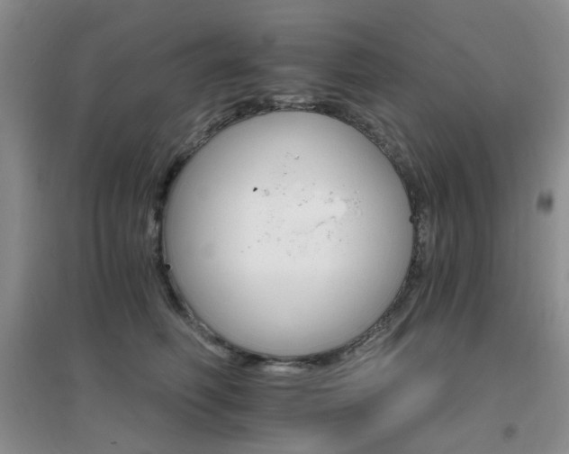 X0000096970614200802081254