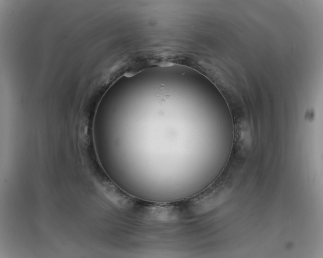X0000096970615200802081254