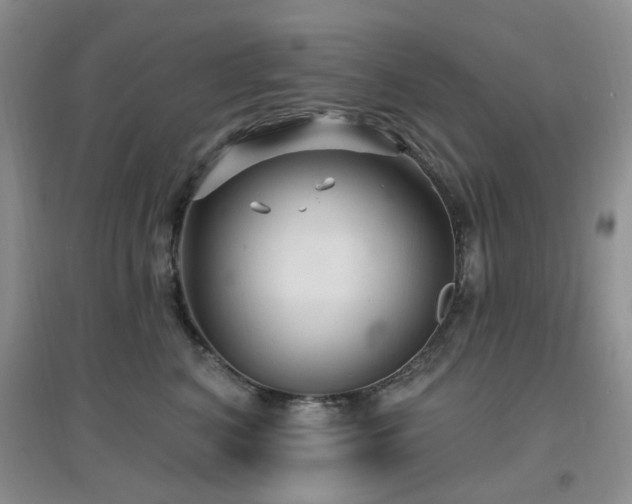 X0000096970616200802081254