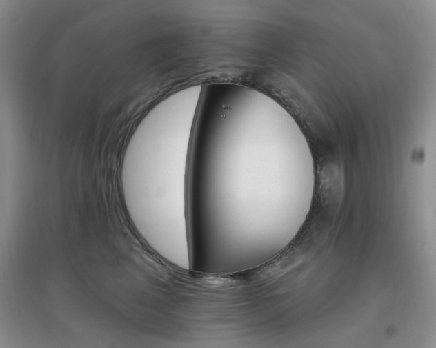 X0000096970617200802081254