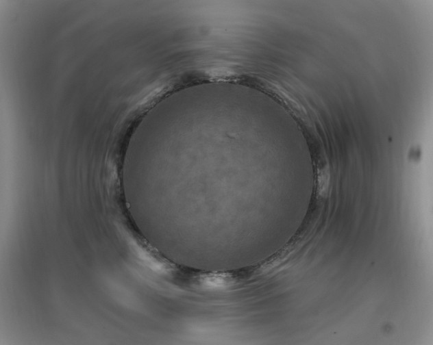 X0000096970618200802081253