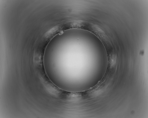 X0000096970619200802081253