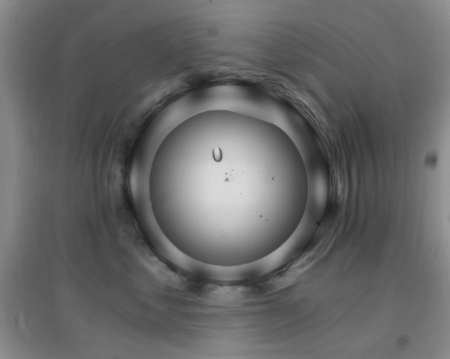 X0000096970621200802081253