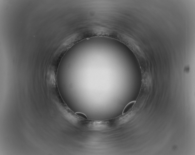 X0000096970622200802081253