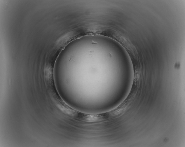 X0000096970623200802081253