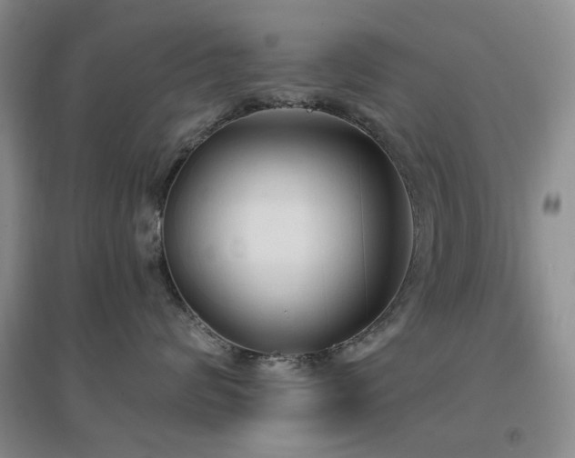 X0000096970624200802081253