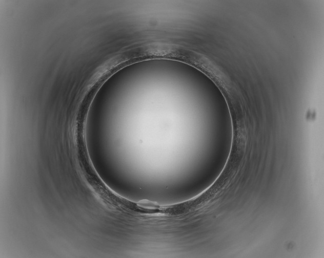 X0000096970626200802081253
