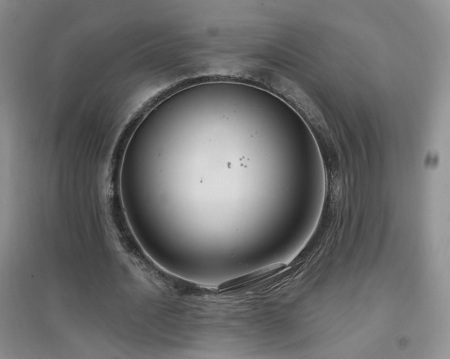 X0000096970628200802081253