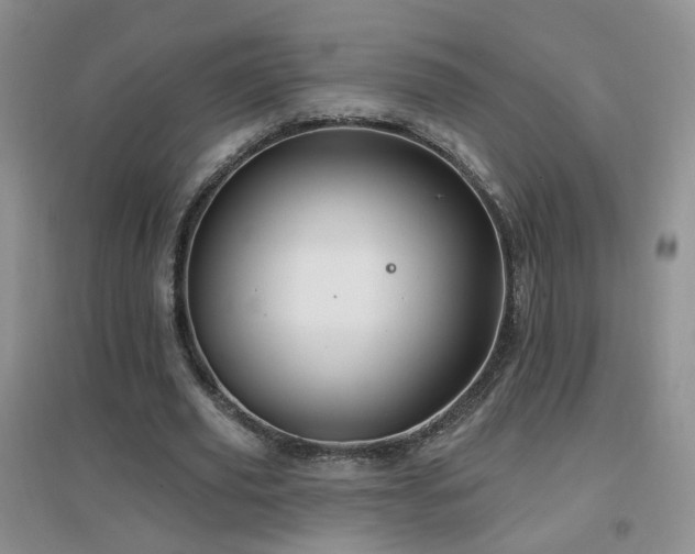X0000096970629200802081253
