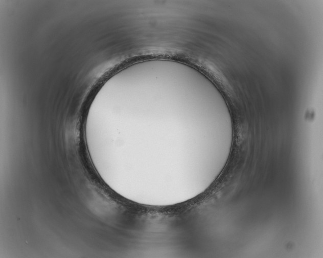 X0000096970632200802081253
