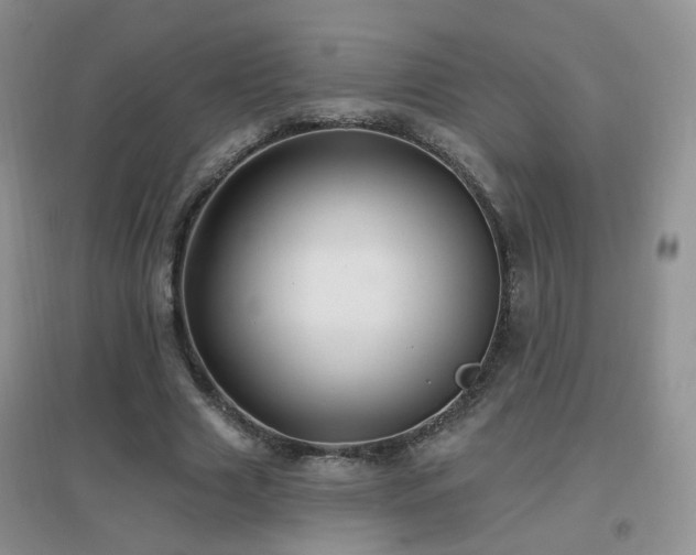 X0000096970633200802081253