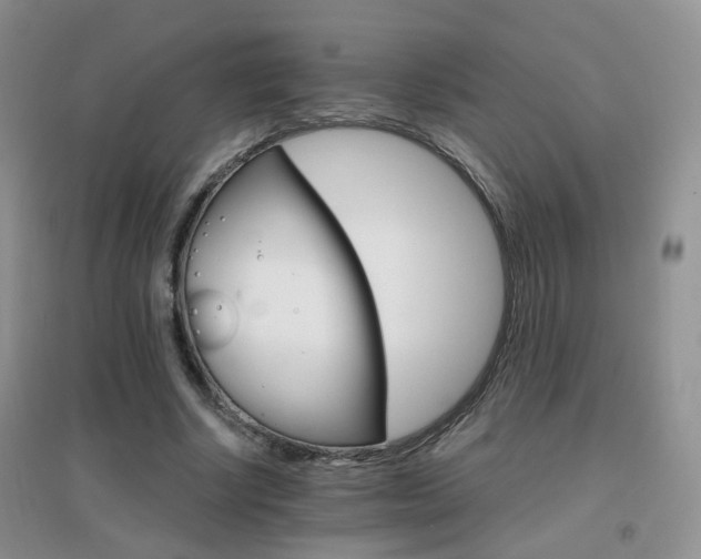 X0000096970634200802081253