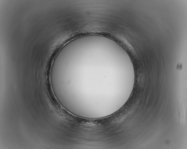 X0000096970635200802081253