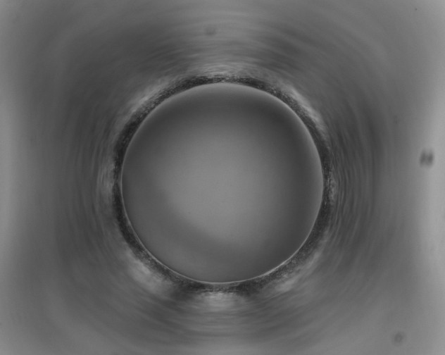 X0000096970637200802081253