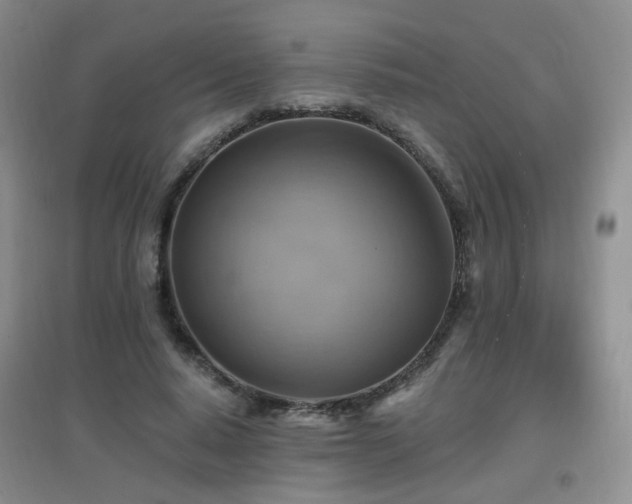 X0000096970640200802081253