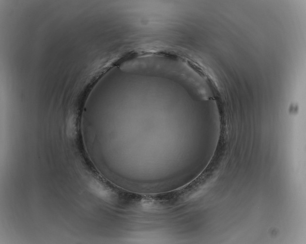 X0000096970641200802081253