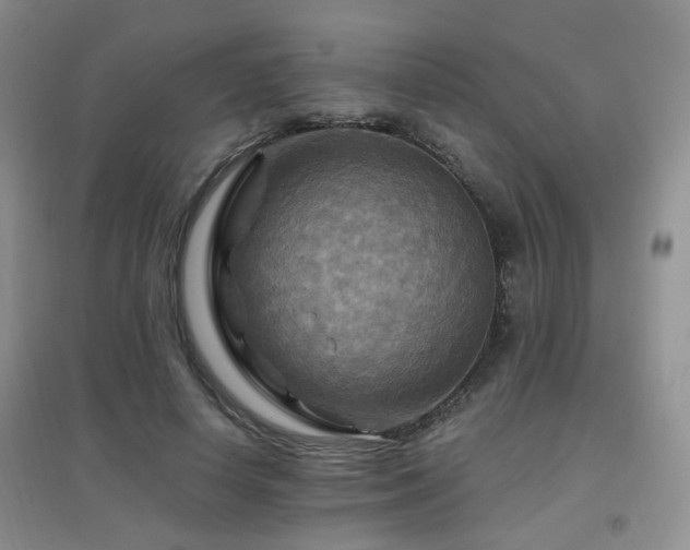 X0000096970642200802081253