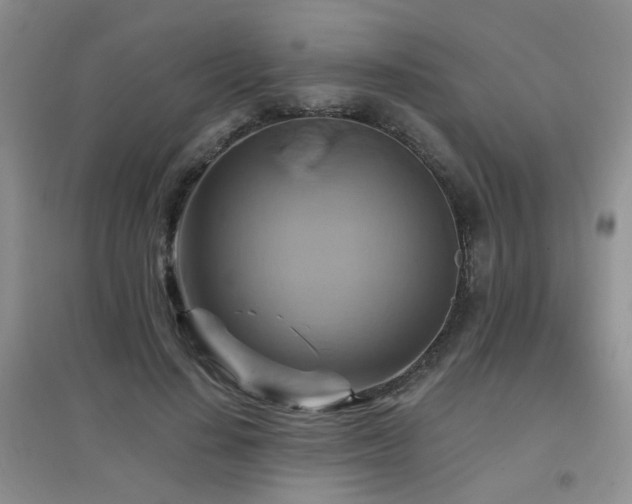 X0000096970644200802081253