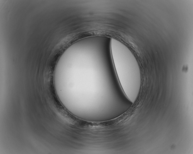 X0000096970645200802081253