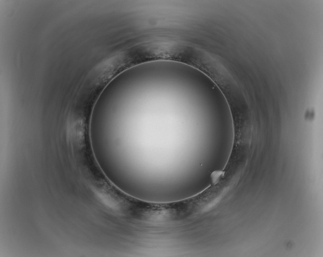 X0000096970646200802081253