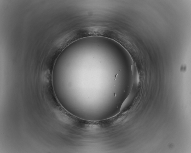 X0000096970649200802081253