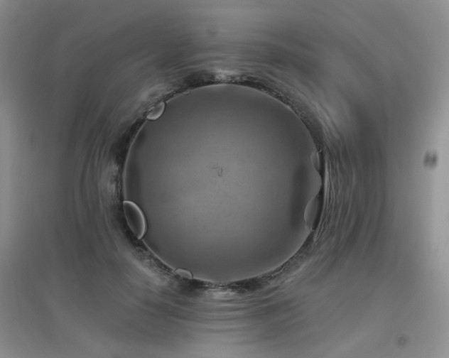 X0000096970650200802081253