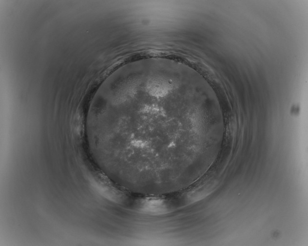 X0000096970651200802081253