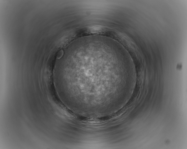 X0000096970653200802081253