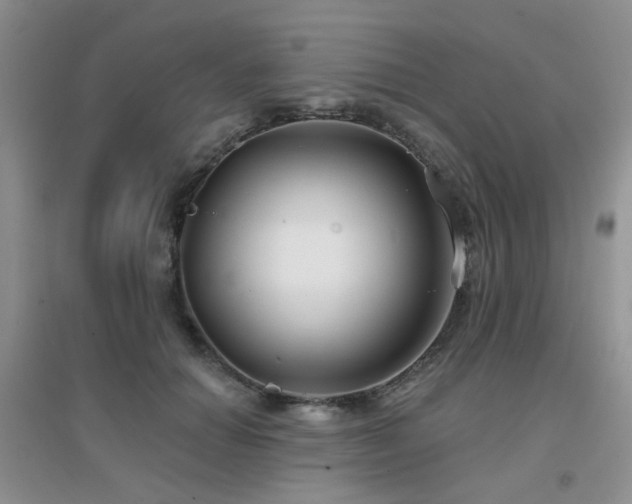 X0000096970654200802081253
