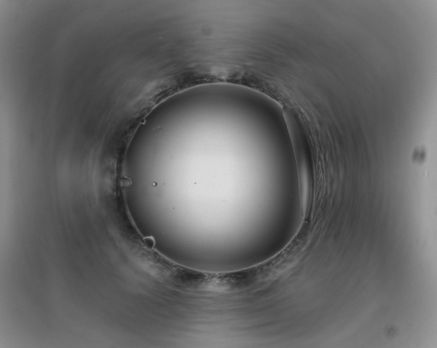 X0000096970656200802081253