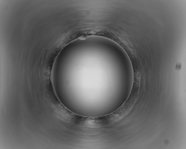 X0000096970657200802081253