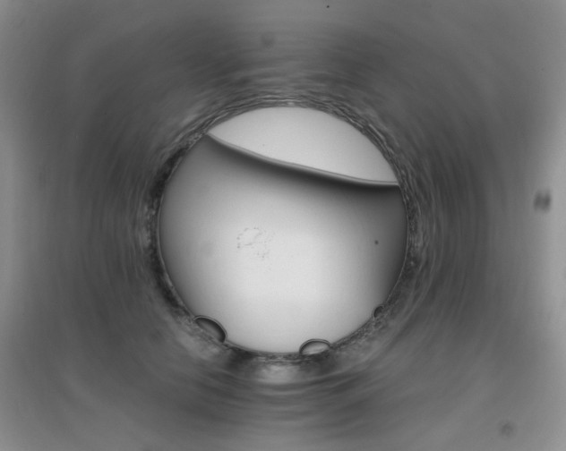 X0000096970658200802081253