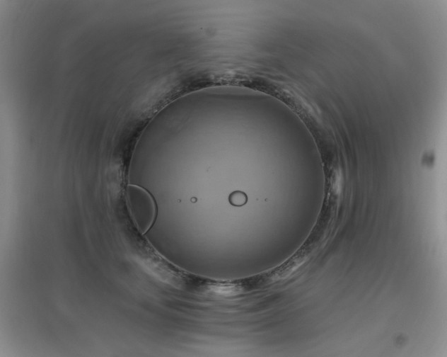 X0000096970659200802081253