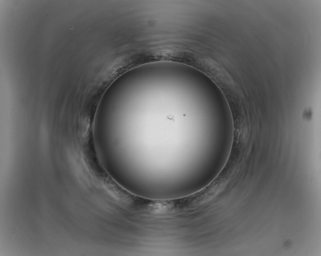 X0000096970660200802081253