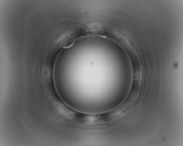 X0000096970662200802081253